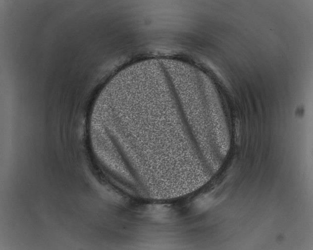 X0000094330451200711241833