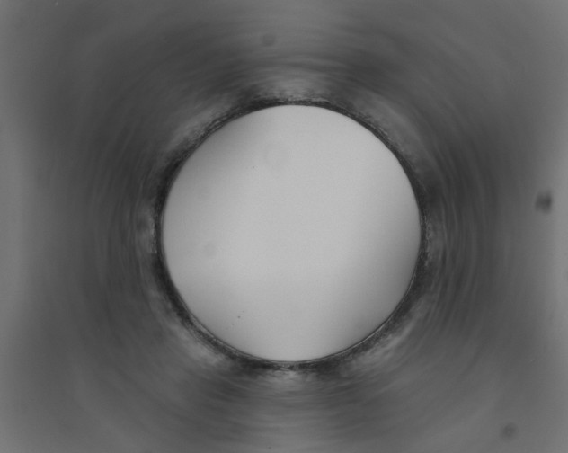 X0000094330453200711241833