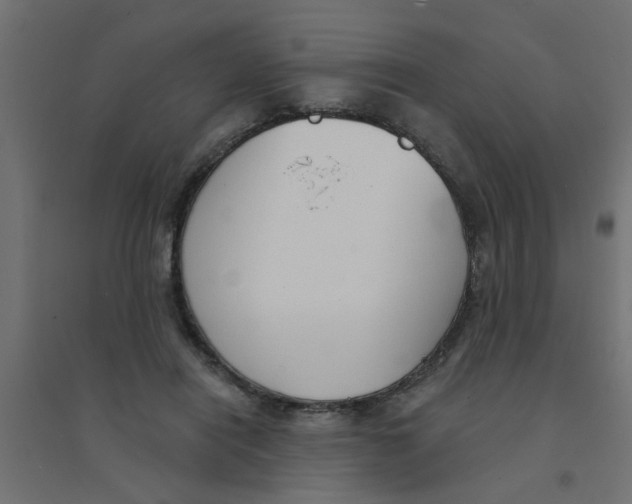 X0000094330454200711241833