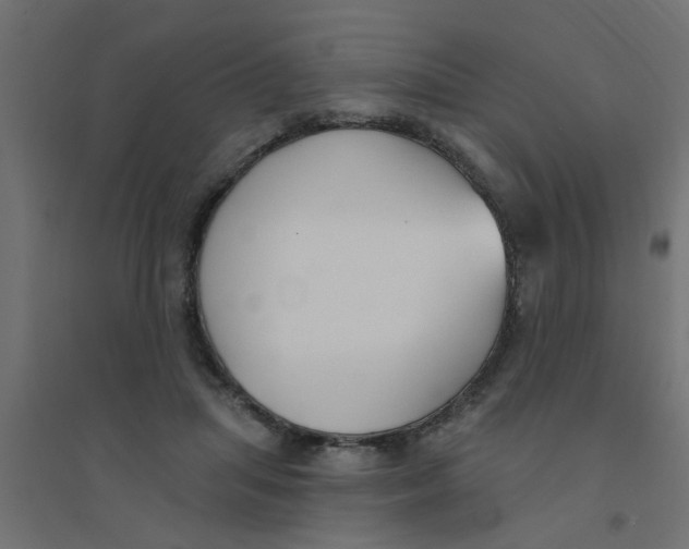 X0000094330455200711241833