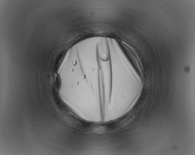 X0000094330456200711241833