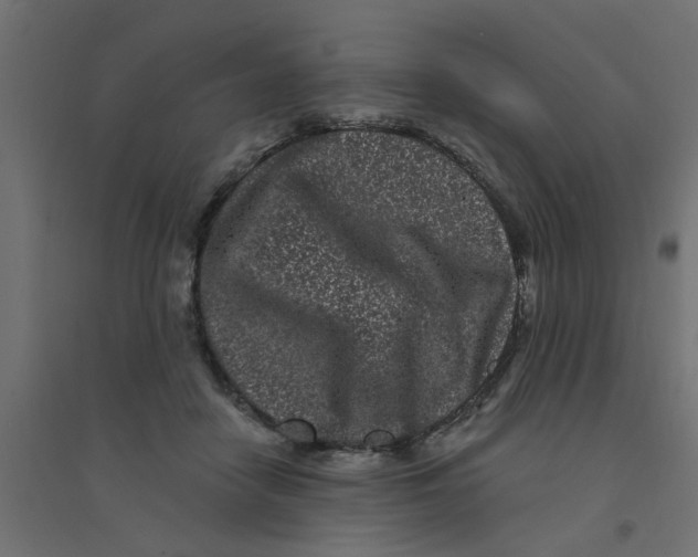 X0000094330458200711241833