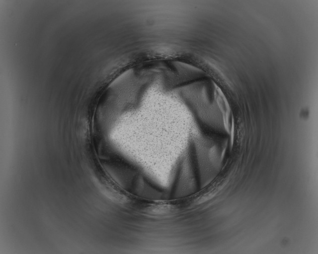 X0000094330459200711241833