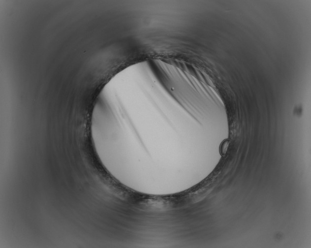 X0000094330464200711241833