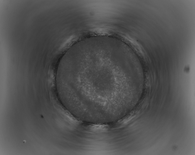 X0000094330465200711241833