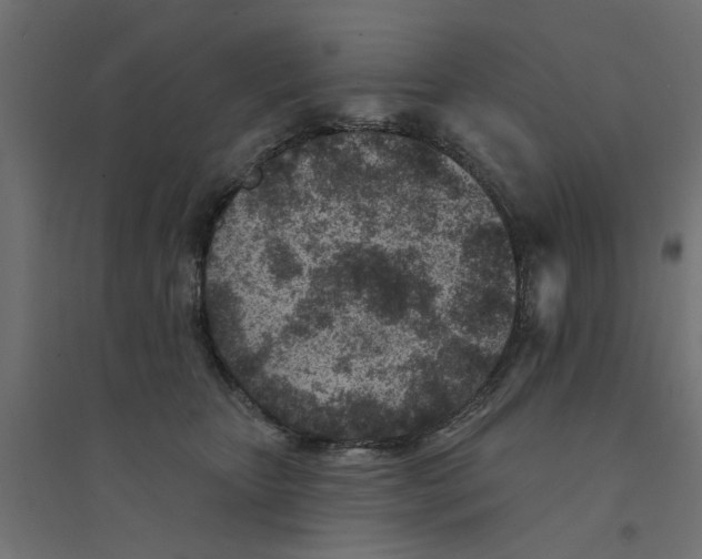 X0000094330467200711241833