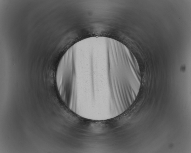 X0000094330470200711241833