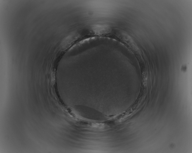 X0000094330471200711241833