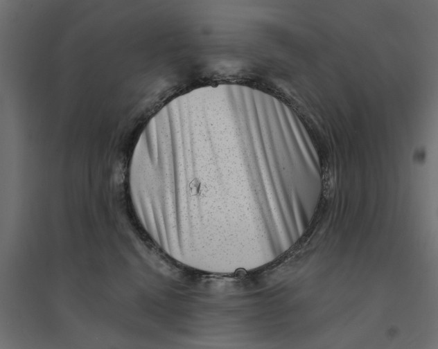 X0000094330472200711241833