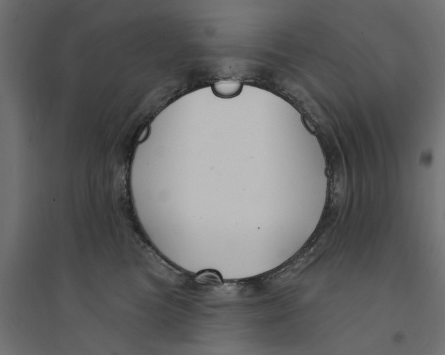 X0000094330473200711241833