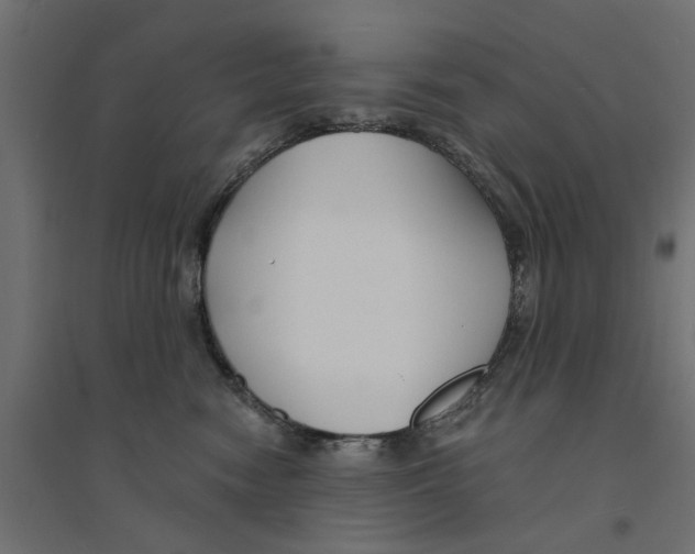 X0000094330474200711241833