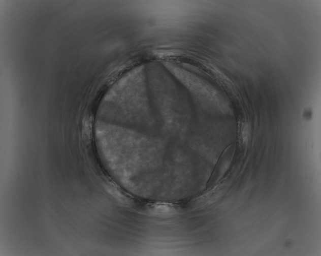 X0000094330475200711241833