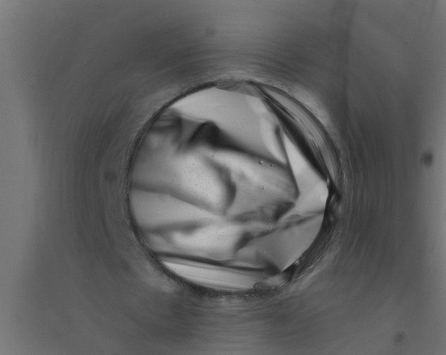 X0000094330481200711241833