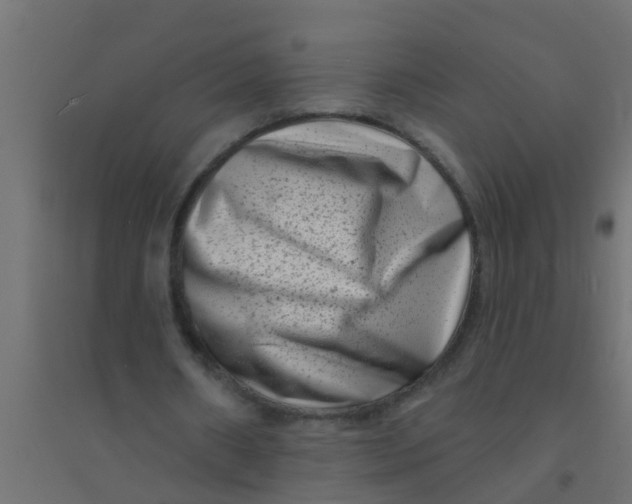 X0000094330482200711241833