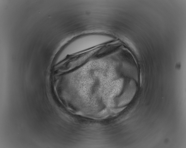 X0000094330483200711241832