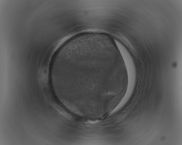 X0000094330484200711241832