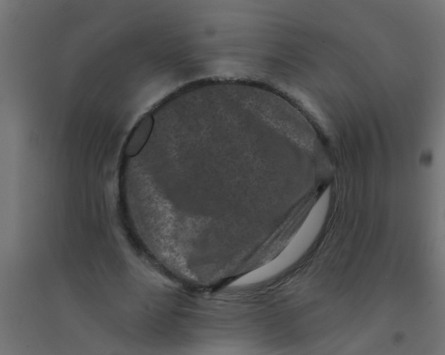 X0000094330488200711241832