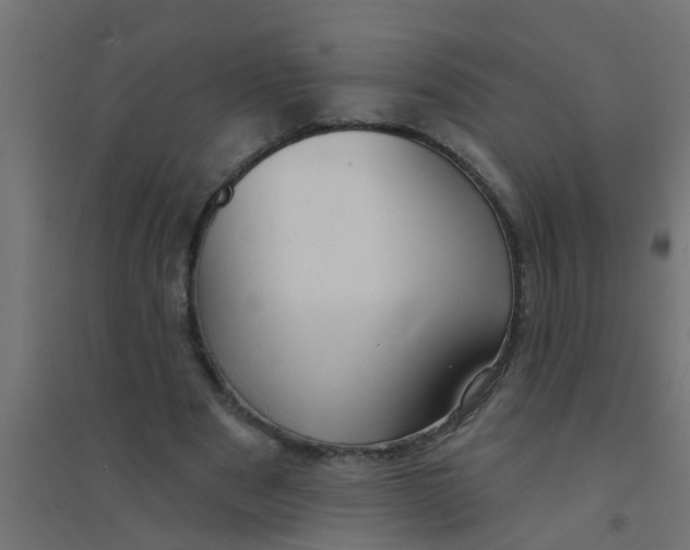 X0000094330489200711241832