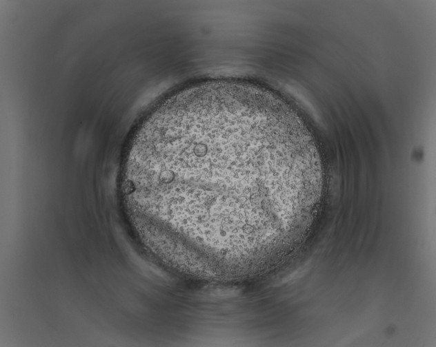 X0000094330491200711241832