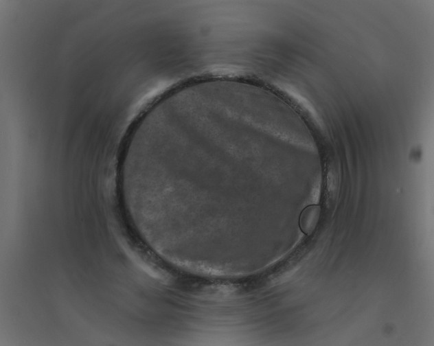 X0000094330492200711241832