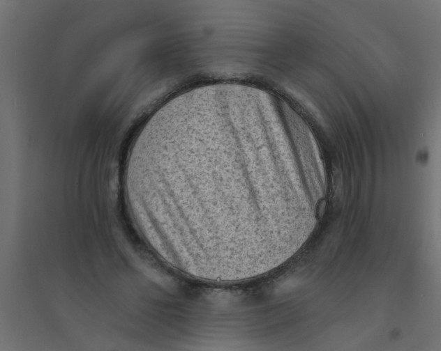 X0000094330494200711241832