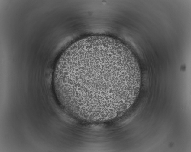 X0000094330495200711241832