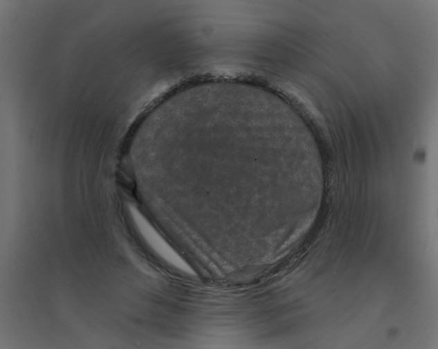 X0000094330496200711241832