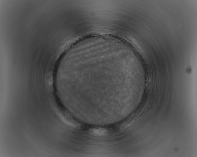 X0000094330500200711241832