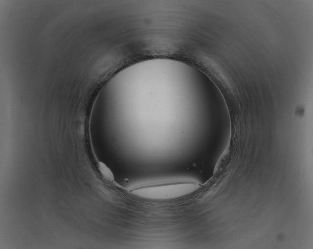 X0000094330501200711241832