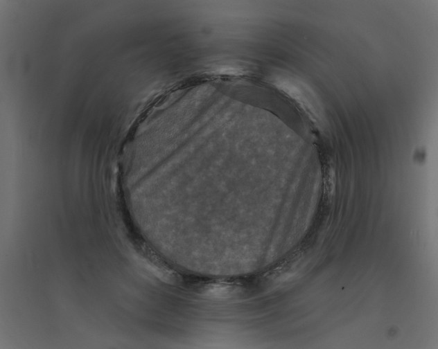 X0000094330504200711241832