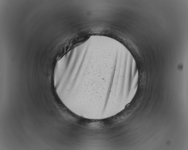 X0000094330505200711241832