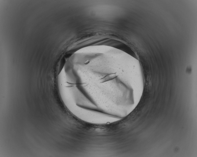 X0000094330506200711241832