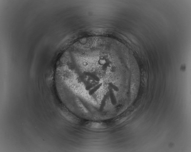 X0000094330507200711241832