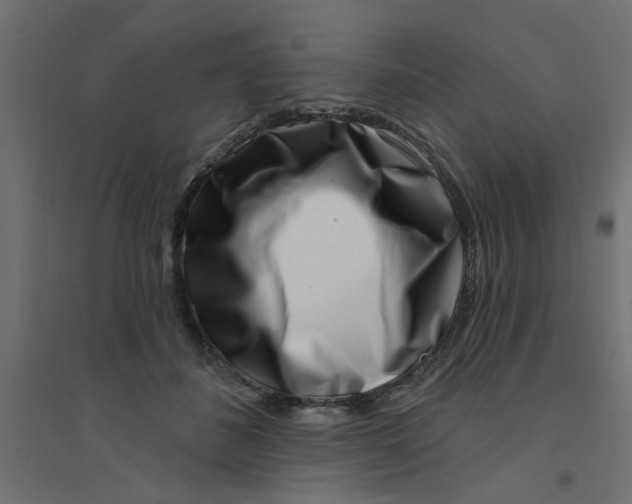 X0000094330508200711241832