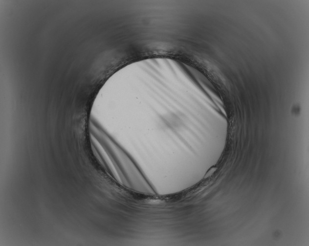 X0000094330509200711241832