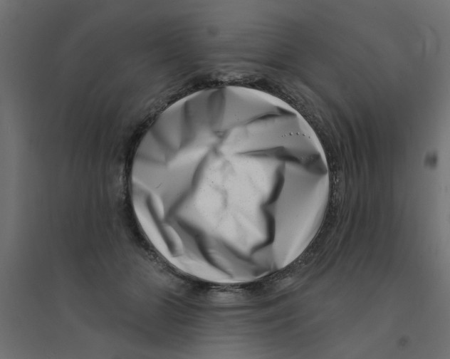 X0000094330510200711241832