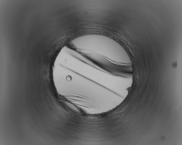 X0000094330512200711241832