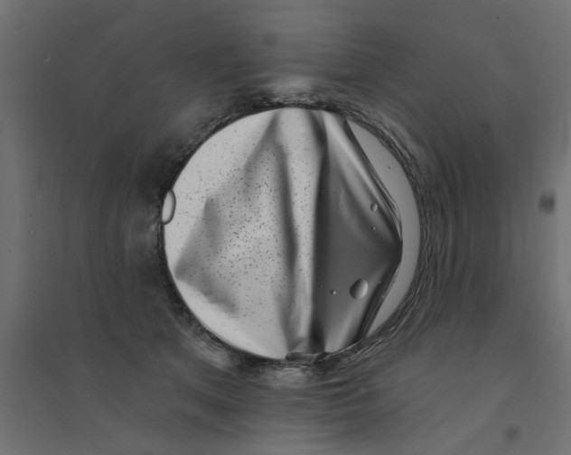 X0000094330513200711241832