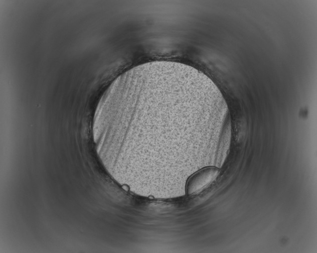 X0000094330515200711241832