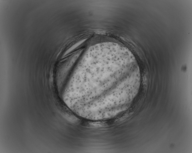 X0000094330516200711241832