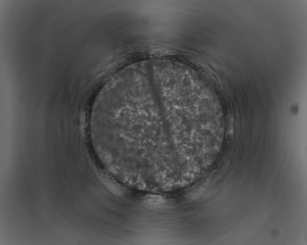 X0000094330519200711241832