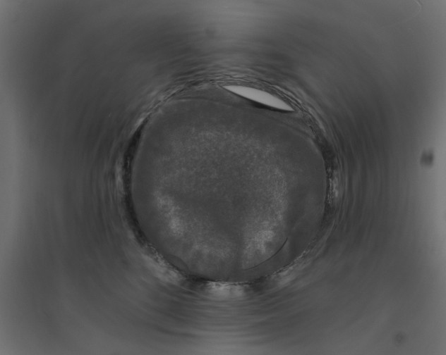 X0000094330520200711241832