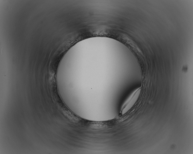 X0000094330521200711241832