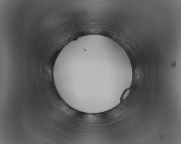 X0000094330522200711241832