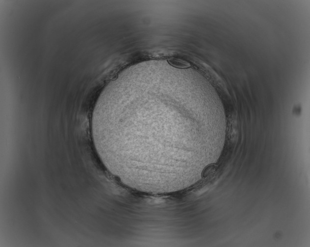 X0000094330523200711241832