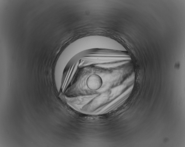 X0000094330524200711241832