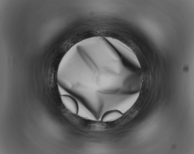 X0000094330525200711241832