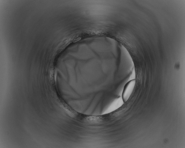 X0000094330526200711241832