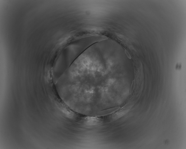 X0000094330528200711241832