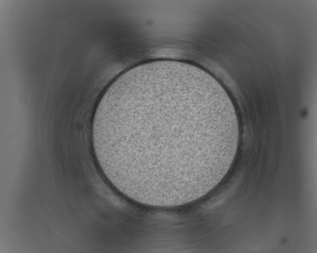 X0000094330529200711241831